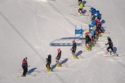 FIS Baltijas kauss 2022 5.posms, SG treniņš, Foto: E.Lukšo