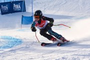 FIS Baltic Cup 2018 3. posms, jauniešu un meistaru GS, Foto: Emīls Lukšo