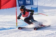 FIS Baltic Cup 2018 3. posms, jauniešu un meistaru GS, Foto: Emīls Lukšo