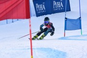 FIS Baltic Cup 2018 3. posms, jauniešu un meistaru GS, Foto: Emīls Lukšo