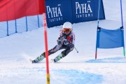 FIS Baltic Cup 2018 3. posms, jauniešu un meistaru GS, Foto: Emīls Lukšo