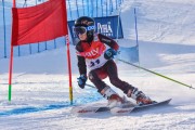 FIS Baltic Cup 2018 3. posms, jauniešu un meistaru GS, Foto: Emīls Lukšo