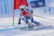 FIS Baltic Cup 2018 3. posms, jauniešu un meistaru GS, Foto: Emīls Lukšo