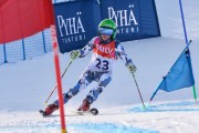 FIS Baltic Cup 2018 3. posms, jauniešu un meistaru GS, Foto: Emīls Lukšo