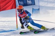 FIS Baltic Cup 2018 3. posms, jauniešu un meistaru GS, Foto: Emīls Lukšo