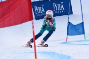 FIS Baltic Cup 2018 3. posms, jauniešu un meistaru GS, Foto: Emīls Lukšo