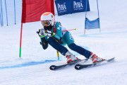 FIS Baltic Cup 2018 3. posms, jauniešu un meistaru GS, Foto: Emīls Lukšo