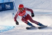 FIS Baltic Cup 2018 3. posms, jauniešu un meistaru GS, Foto: Emīls Lukšo