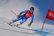 FIS Baltijas kauss 2022 5.posms, SG un AC, Foto: E.Lukšo