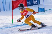 FIS Baltic Cup 2018 3. posms, jauniešu un meistaru GS, Foto: Emīls Lukšo