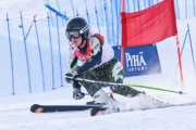 FIS Baltic Cup 2018 3. posms, jauniešu un meistaru GS, Foto: Emīls Lukšo