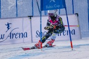 FIS Baltijas kauss 2022 5.posms, SG un AC, Foto: E.Lukšo