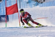 FIS Baltic Cup 2018 3. posms, jauniešu un meistaru GS, Foto: Emīls Lukšo