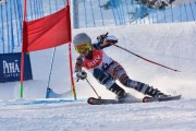 FIS Baltic Cup 2018 3. posms, jauniešu un meistaru GS, Foto: Emīls Lukšo