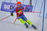 FIS Baltijas kauss 2022 5.posms, SG un AC, Foto: E.Lukšo