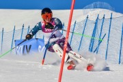 FIS Baltic Cup 2018 3. posms, jauniešu un meistaru SL, Foto: Emīls Lukšo