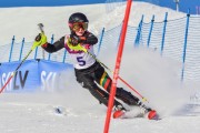 FIS Baltic Cup 2018 3. posms, jauniešu un meistaru SL, Foto: Emīls Lukšo