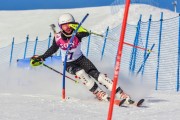 FIS Baltic Cup 2018 3. posms, jauniešu un meistaru SL, Foto: Emīls Lukšo