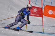 FIS Baltijas kauss 2022 5.posms, GS, Foto: E.Lukšo