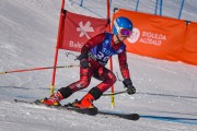 FIS Baltijas kauss 2022 5.posms, GS, Foto: E.Lukšo