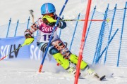 FIS Baltic Cup 2018 3. posms, jauniešu un meistaru SL, Foto: Emīls Lukšo