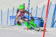 FIS Baltic Cup 2018 3. posms, jauniešu un meistaru SL, Foto: Emīls Lukšo