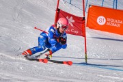 FIS Baltijas kauss 2022 5.posms, GS, Foto: E.Lukšo