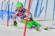 FIS Baltic Cup 2018 3. posms, jauniešu un meistaru SL, Foto: Emīls Lukšo