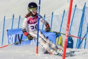 FIS Baltic Cup 2018 3. posms, jauniešu un meistaru SL, Foto: Emīls Lukšo