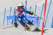 FIS Baltic Cup 2018 3. posms, jauniešu un meistaru SL, Foto: Emīls Lukšo