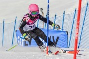 FIS Baltic Cup 2018 3. posms, jauniešu un meistaru SL, Foto: Emīls Lukšo