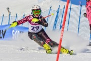 FIS Baltic Cup 2018 3. posms, jauniešu un meistaru SL, Foto: Emīls Lukšo