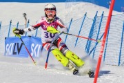 FIS Baltic Cup 2018 3. posms, jauniešu un meistaru SL, Foto: Emīls Lukšo