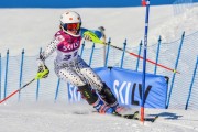 FIS Baltic Cup 2018 3. posms, jauniešu un meistaru SL, Foto: Emīls Lukšo