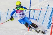 FIS Baltic Cup 2018 3. posms, jauniešu un meistaru SL, Foto: Emīls Lukšo