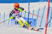 FIS Baltic Cup 2018 3. posms, jauniešu un meistaru SL, Foto: Emīls Lukšo