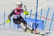 FIS Baltic Cup 2018 3. posms, jauniešu un meistaru SL, Foto: Emīls Lukšo