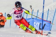 FIS Baltic Cup 2018 3. posms, jauniešu un meistaru SL, Foto: Emīls Lukšo