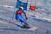 FIS Baltijas kauss 2022 5.posms, GS, Foto: E.Lukšo