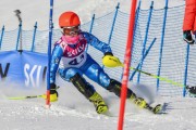 FIS Baltic Cup 2018 3. posms, jauniešu un meistaru SL, Foto: Emīls Lukšo