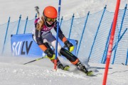 FIS Baltic Cup 2018 3. posms, jauniešu un meistaru SL, Foto: Emīls Lukšo