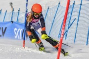 FIS Baltic Cup 2018 3. posms, jauniešu un meistaru SL, Foto: Emīls Lukšo