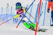 FIS Baltic Cup 2018 3. posms, jauniešu un meistaru SL, Foto: Emīls Lukšo