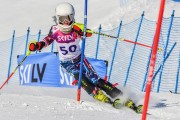 FIS Baltic Cup 2018 3. posms, jauniešu un meistaru SL, Foto: Emīls Lukšo