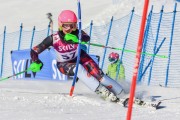 FIS Baltic Cup 2018 3. posms, jauniešu un meistaru SL, Foto: Emīls Lukšo