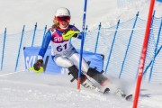 FIS Baltic Cup 2018 3. posms, jauniešu un meistaru SL, Foto: Emīls Lukšo