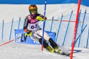 FIS Baltic Cup 2018 3. posms, jauniešu un meistaru SL, Foto: Emīls Lukšo