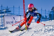 FIS Baltijas kauss 2022 5.posms, SL, Foto: E.Lukšo