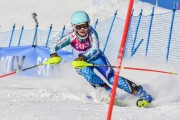 FIS Baltic Cup 2018 3. posms, jauniešu un meistaru SL, Foto: Emīls Lukšo