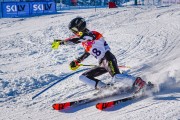 FIS Baltijas kauss 2022 5.posms, SL, Foto: E.Lukšo